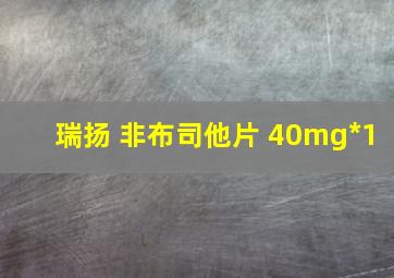 瑞扬 非布司他片 40mg*1